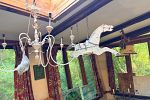 Sale Photo Thumbnail #30