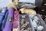 Sale Photo Thumbnail #13