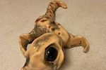 Sale Photo Thumbnail #45