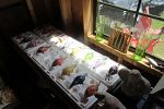Sale Photo Thumbnail #91