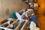 Sale Photo Thumbnail #6