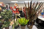 Sale Photo Thumbnail #26