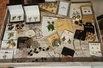 Sale Photo Thumbnail #19