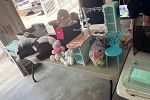 Sale Photo Thumbnail #2