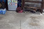 Sale Photo Thumbnail #31