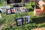 Sale Photo Thumbnail #2