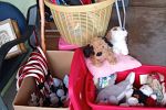 Sale Photo Thumbnail #5