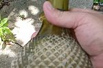 Sale Photo Thumbnail #21