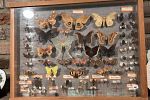 Sale Photo Thumbnail #74