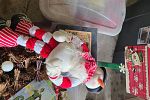 Sale Photo Thumbnail #5