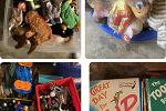 Sale Photo Thumbnail #7