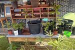 Sale Photo Thumbnail #41
