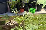 Sale Photo Thumbnail #40