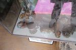Sale Photo Thumbnail #54