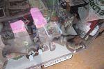 Sale Photo Thumbnail #55