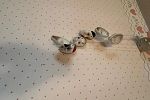Sale Photo Thumbnail #53