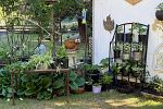 Sale Photo Thumbnail #27