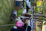 Sale Photo Thumbnail #30