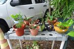 Sale Photo Thumbnail #22
