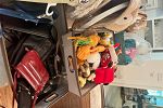 Sale Photo Thumbnail #26