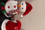 Sale Photo Thumbnail #19