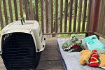 Sale Photo Thumbnail #17