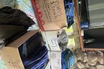 Sale Photo Thumbnail #12