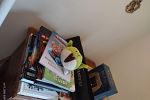 Sale Photo Thumbnail #12