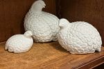 Sale Photo Thumbnail #16