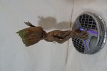 Sale Photo Thumbnail #33