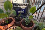 Sale Photo Thumbnail #19
