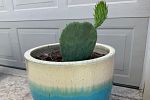 Sale Photo Thumbnail #18