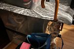 Sale Photo Thumbnail #15