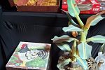 Sale Photo Thumbnail #142
