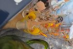 Sale Photo Thumbnail #43