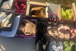 Sale Photo Thumbnail #16