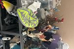 Sale Photo Thumbnail #22