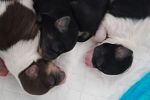 Sale Photo Thumbnail #34
