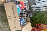 Sale Photo Thumbnail #10
