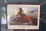 Sale Photo Thumbnail #39