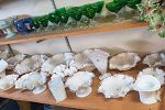 Sale Photo Thumbnail #18
