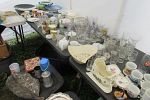 Sale Photo Thumbnail #14