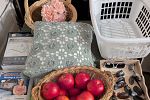 Sale Photo Thumbnail #19