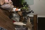 Sale Photo Thumbnail #32