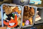 Sale Photo Thumbnail #14