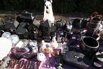 Sale Photo Thumbnail #6