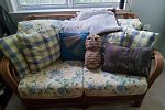 Sale Photo Thumbnail #5