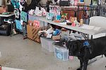 Sale Photo Thumbnail #8