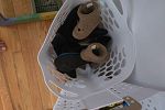 Sale Photo Thumbnail #5