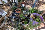 Sale Photo Thumbnail #20